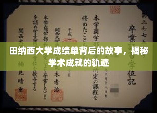 探寻田纳西大学成绩单背后的传奇，解码学术辉煌之路