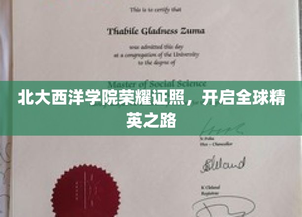 北大西洋学院荣耀通行证，引领国际精英未来征程