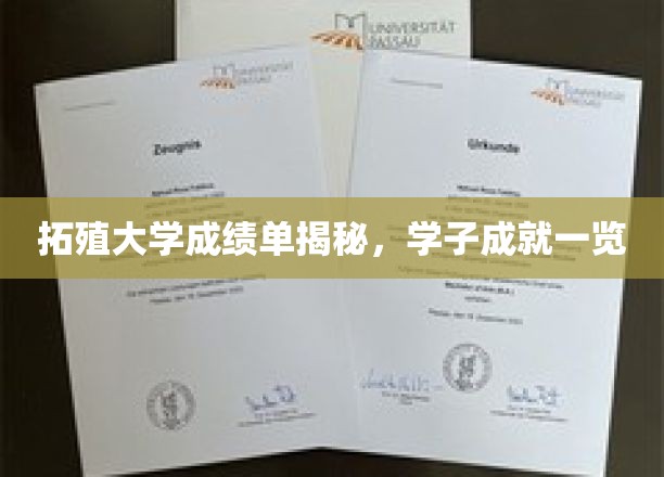 拓殖大学成绩单揭秘，学子成就一览