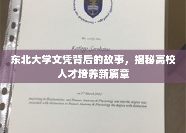 东北大学文凭，探寻人才培育创新之路