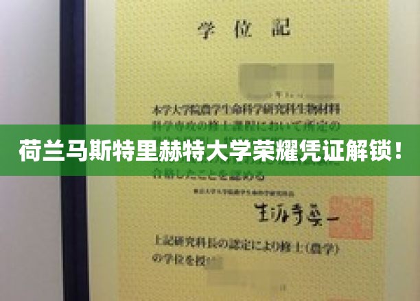 荷兰马斯特里赫特大学荣耀凭证解锁！