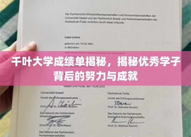 探寻千叶大学卓越学子背后的汗水与辉煌