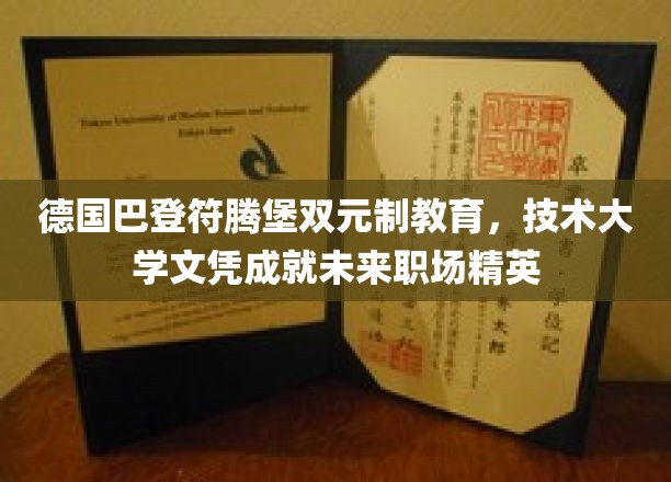解码德国巴登符腾堡双元制，技术大学文凭铺就职场精英之路