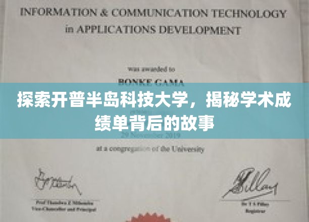 揭开开普半岛科技大学成绩单的神秘面纱