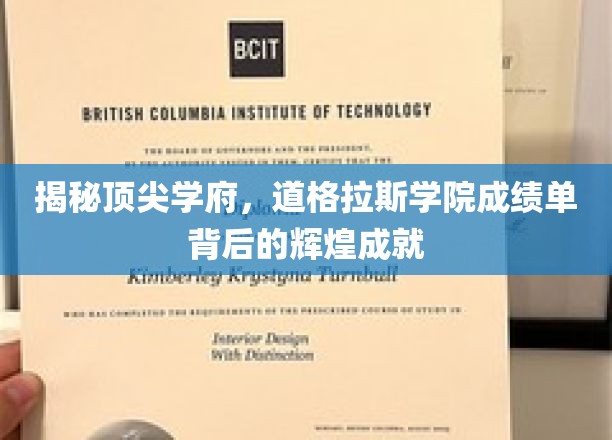揭秘顶尖学府，道格拉斯学院成绩单背后的辉煌成就