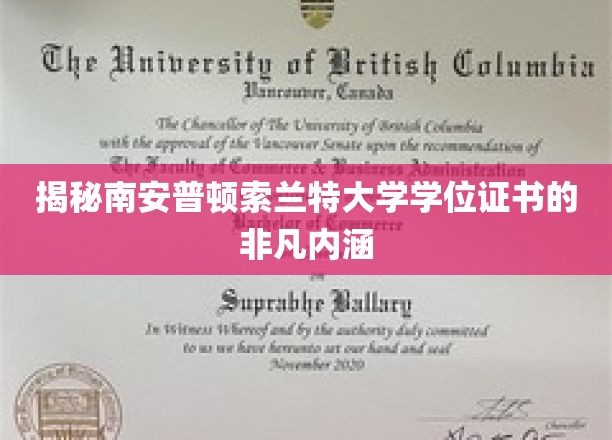 南安普顿索兰特大学学位证书背后的独特价值探寻