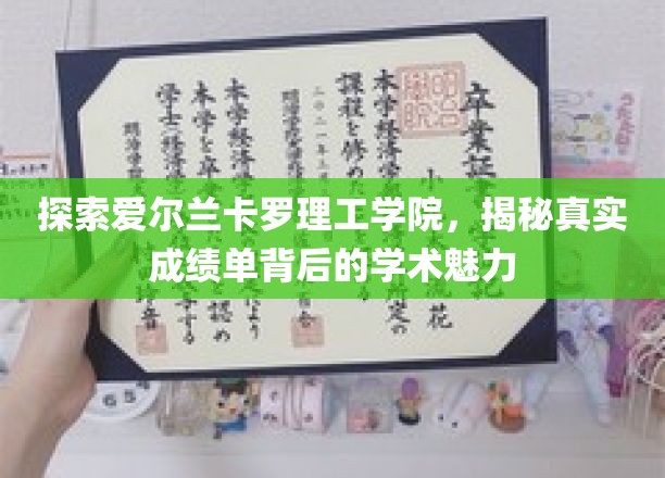 解锁卡罗理工学院，揭开学术成就背后的独特魅力