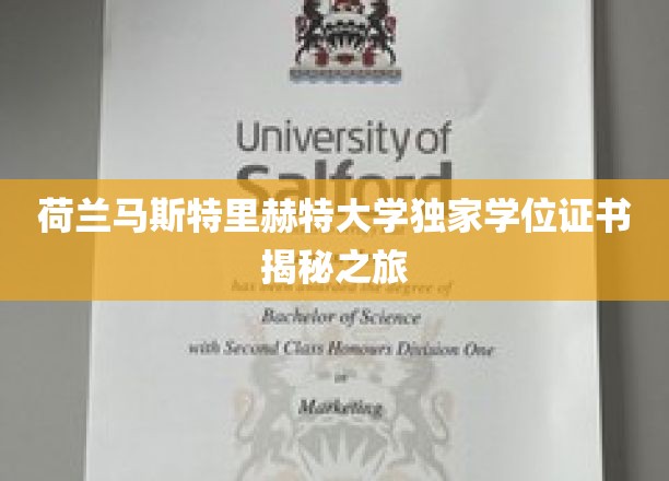 探索荷兰马斯特里赫特大学学位证书背后的全球视野之旅