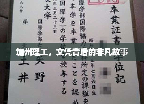 加州理工，文凭背后的非凡故事