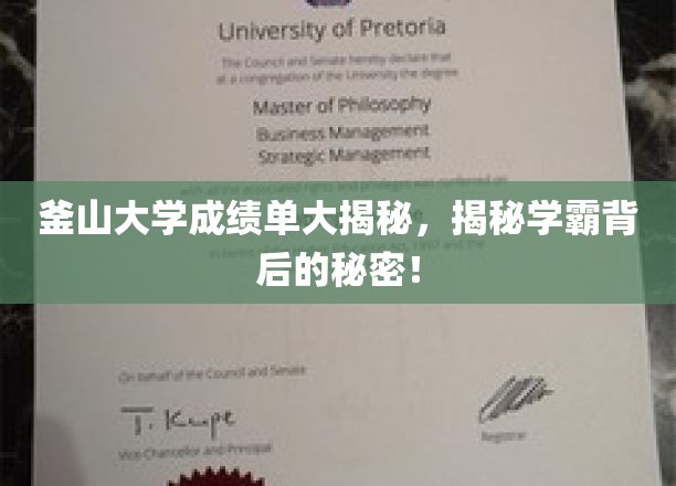釜山学霸养成记，揭秘成绩单背后的惊人秘密！