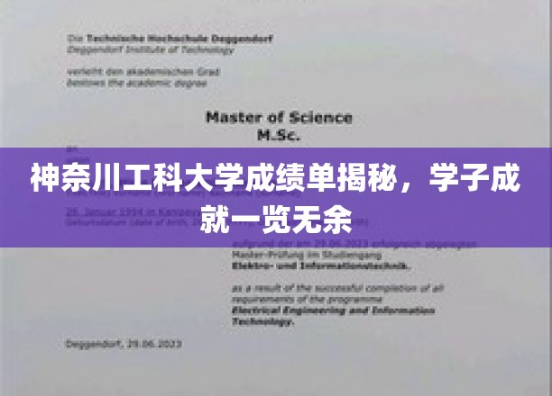 探索神奈川工科大学学子卓越成就，成绩单背后的真实实力展现