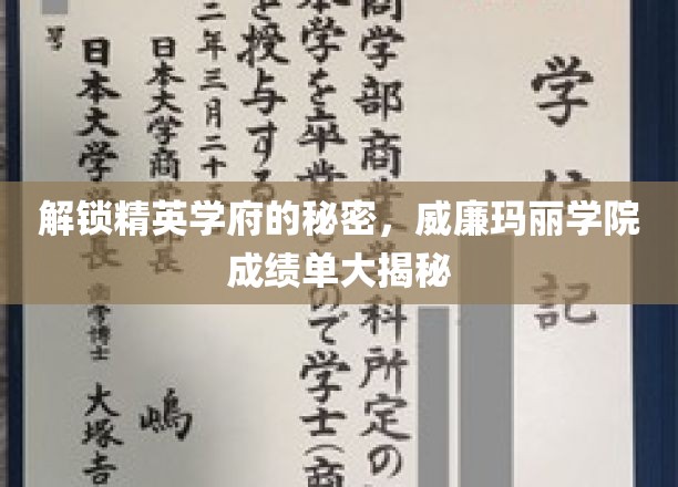 揭开威廉玛丽学院顶尖学子背后的秘密，成绩单背后的传奇故事