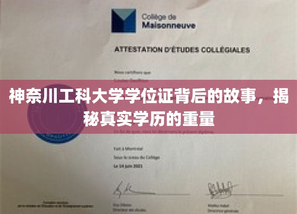 神奈川工科大学学位证，探寻背后故事，学历的分量与传奇