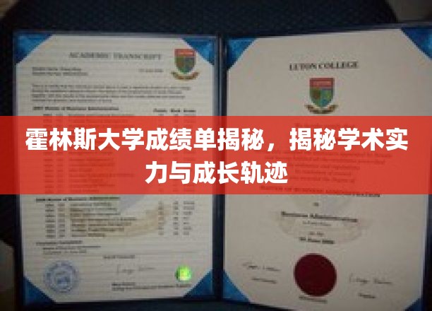 霍林斯大学成绩单揭秘：透视学术实力与成长轨迹