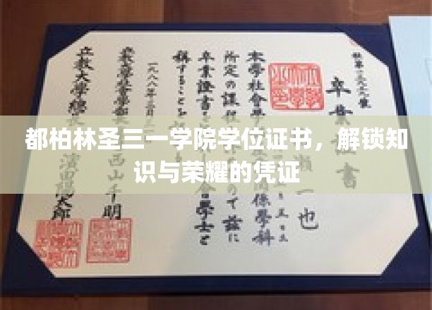 都柏林圣三一学院学位证书，解锁知识与荣耀的凭证