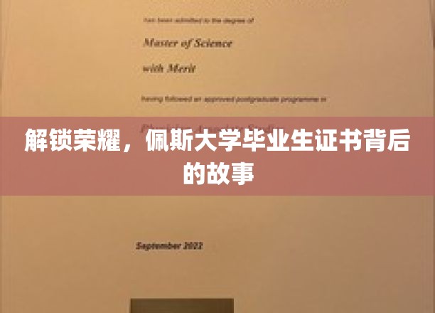 解锁荣耀，佩斯大学毕业生证书背后的故事