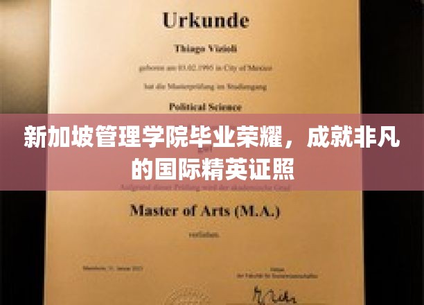 新加坡管理学院荣耀见证，培育全球视野的卓越精英