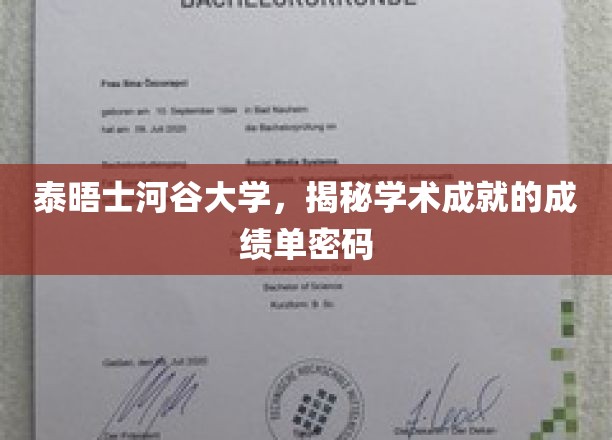 解码泰晤士河谷大学，揭开学术辉煌背后的神秘成绩单