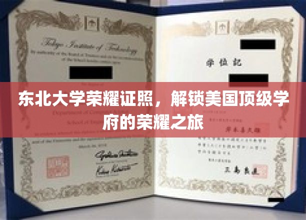 东北荣耀，美国名校之旅，东北大学证照背后的辉煌篇章