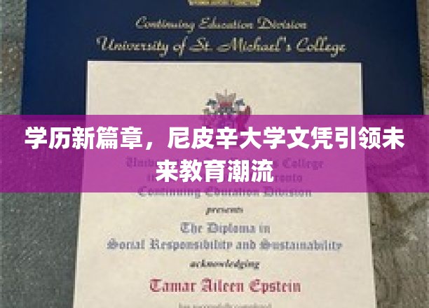 尼皮辛大学文凭，开启教育革新的新纪元