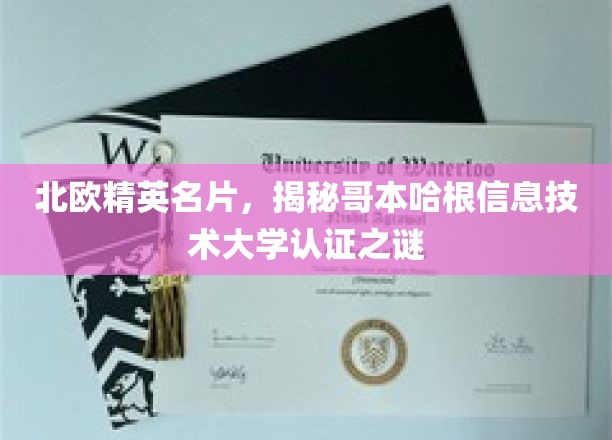 解码哥本哈根信息技术大学，北欧精英教育认证背后的奥秘