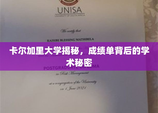 揭开卡尔加里大学成绩单背后的学术奥秘