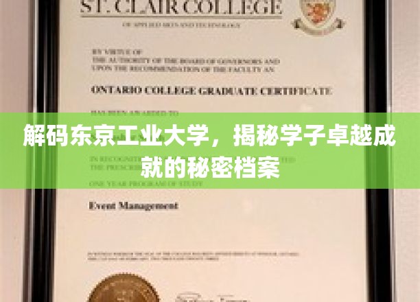 解码东京工业大学，揭秘学子卓越成就的秘密档案