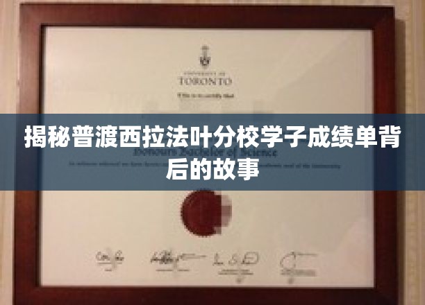 解码普渡西拉法叶分校学霸背后的非凡之路